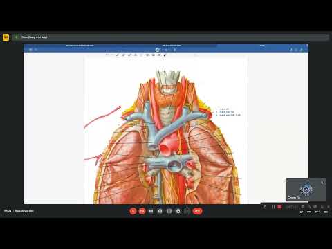 Hệ hô hấp - kiểm tra & đápán