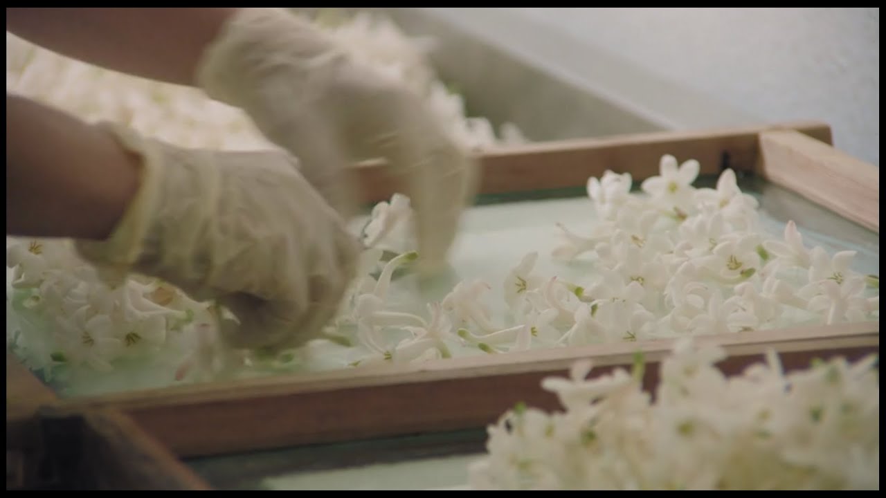 Enfleurage - Robertet