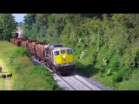 081 Hauling Laden Timber Train at Dunbell