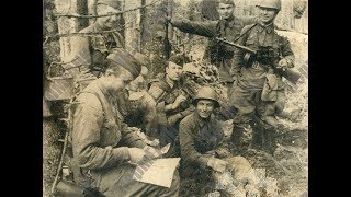 Рыбалка в карманово смоленская область