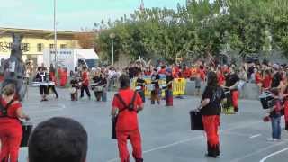 Plantada de Besties (2)