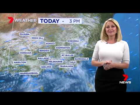 13 August 2018: Today's gloomy cloud is breaking up, with bright sunshine on the way. But its windy.