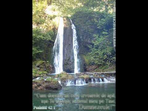 Daniel Dinescu - Doamne am necazuri multe