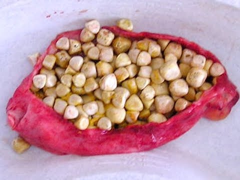 Manipis na masarap Dybenko 22 Malaman kung paano mawalan ng timbang kapag natupok