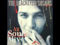 The Blackeyed Susans - Dirty Water (1994) 