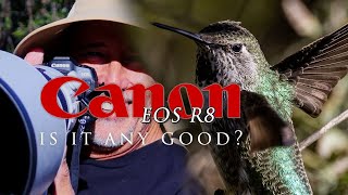 I rented Canon's  R8 - is it really as good as I said it was? Lets shoot hummingbirds and find out