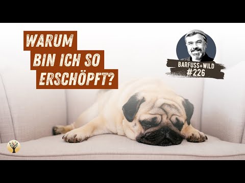 Wie Du Dein inneres Leben wieder zurückgewinnst ...