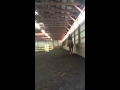 Hannah Jumping Barney