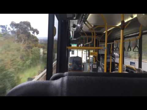 Transperth TP2331 Volvo B7RLE Optimus (Voith)