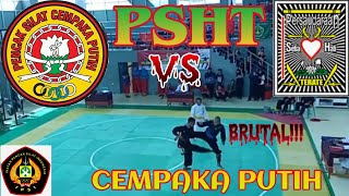Download lagu PSHT VS PSCP (Pencak Silat Cempaka Putih) || PANEN TANGKAPAN DAN GUNTINGAN - Lawan sampai emosi mp3