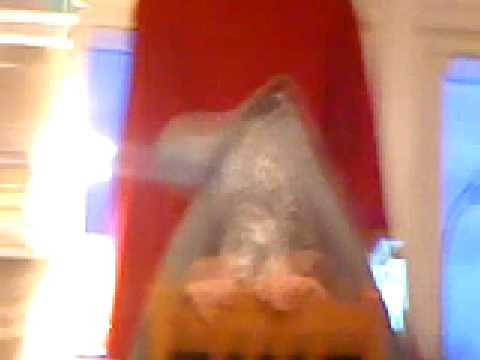 Sebastian Med nyheterna