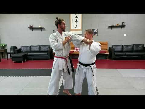 Sensei Richard Poage Teaching Gojushiho Oyo Bunkai