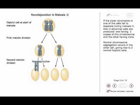 Chromosome Nondisjunction Animation