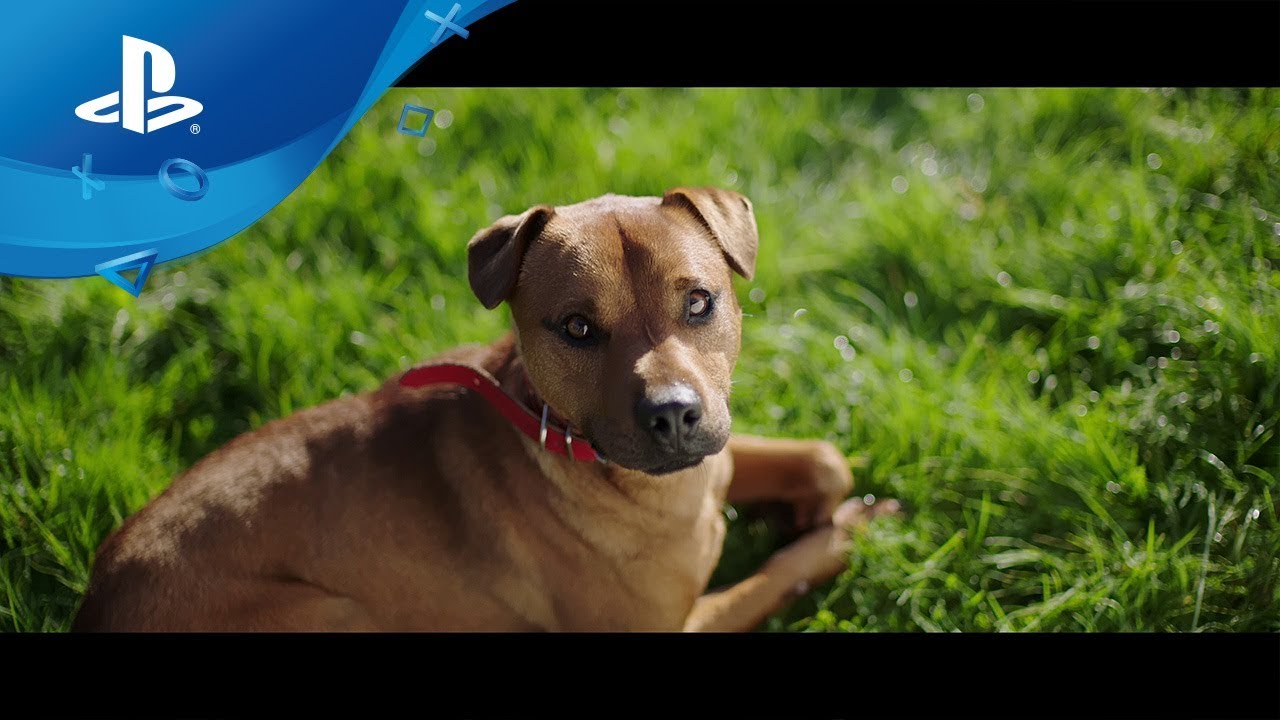 YouTube video: YouTube video player