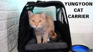 YUNGYOON CAT SMALL DOG PET CARRIER TSA AIRLINE APPROVED Test/Review