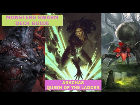 Deck Guide | MO Arachas Swarm