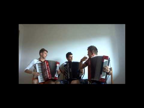 Avicii - Wake Me Up ( Crazy Accordion Trio Cover )