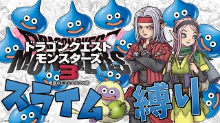 「DQM3」ドラゴンクエストモンスターズ３　スライム縛りpart6