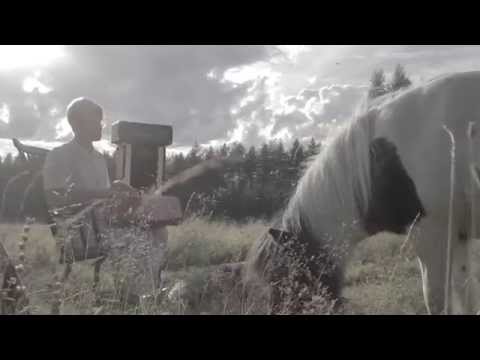 Tapio Lempivaara - Girl Of Shanghai (Virallinen Musiikkivideo)