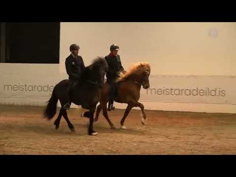 Stóðhestaveislan 2022 - Atriði 22