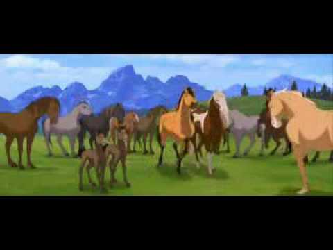 isapmachado’s Video 37013910458 4c261OePqlY