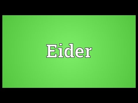Eider Meaning