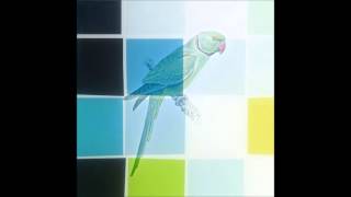 Parakeet (R.E.M.  Acoustic Cover)