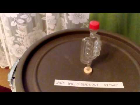 Domowe Wino Wieloowocowe - Burzliwa Fermentacja - 22.09.2015