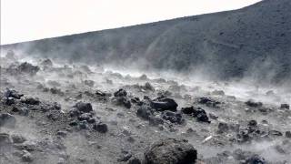 tout le monde carla bruni