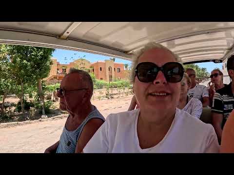 Lemon & Soul Makadi Bay ride from the beach in electric buggy