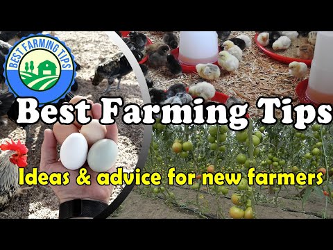 , title : 'Best Farming Tips: Ideas & advice for new farmers / beginning farmers'