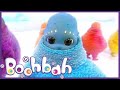 Boohbah Gigantic Carrot Episode 60 Funny Cartoons For Kids Animation