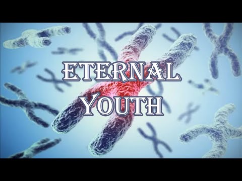 ❋ Stay Young Forever! ~ Telomere Regeneration + Frequency-free Version ~ Gentle Rain Sounds