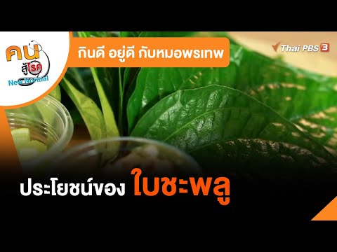 ประโยชน์ของใบชะพลู : กินดีอยู่ดี กับหมอพรเทพ