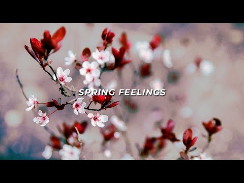 Let's appreciate nature - 05/27/2017