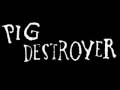 Towering Flesh- Pig Destroyer