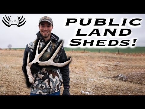 2020 KANSAS PUBLIC LAND SHEDS!