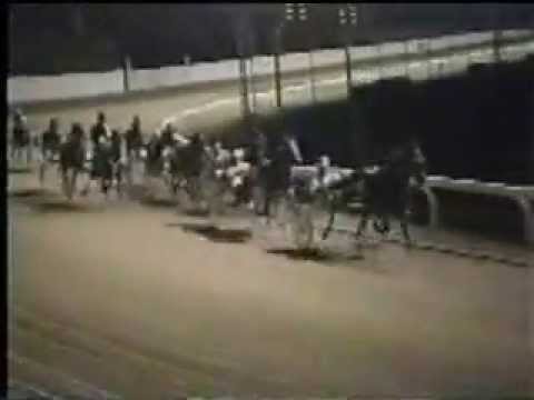 1990 Breeders Crown 2yo C&G Pace Artsplace