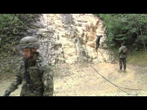 Marines train for jungle warfare