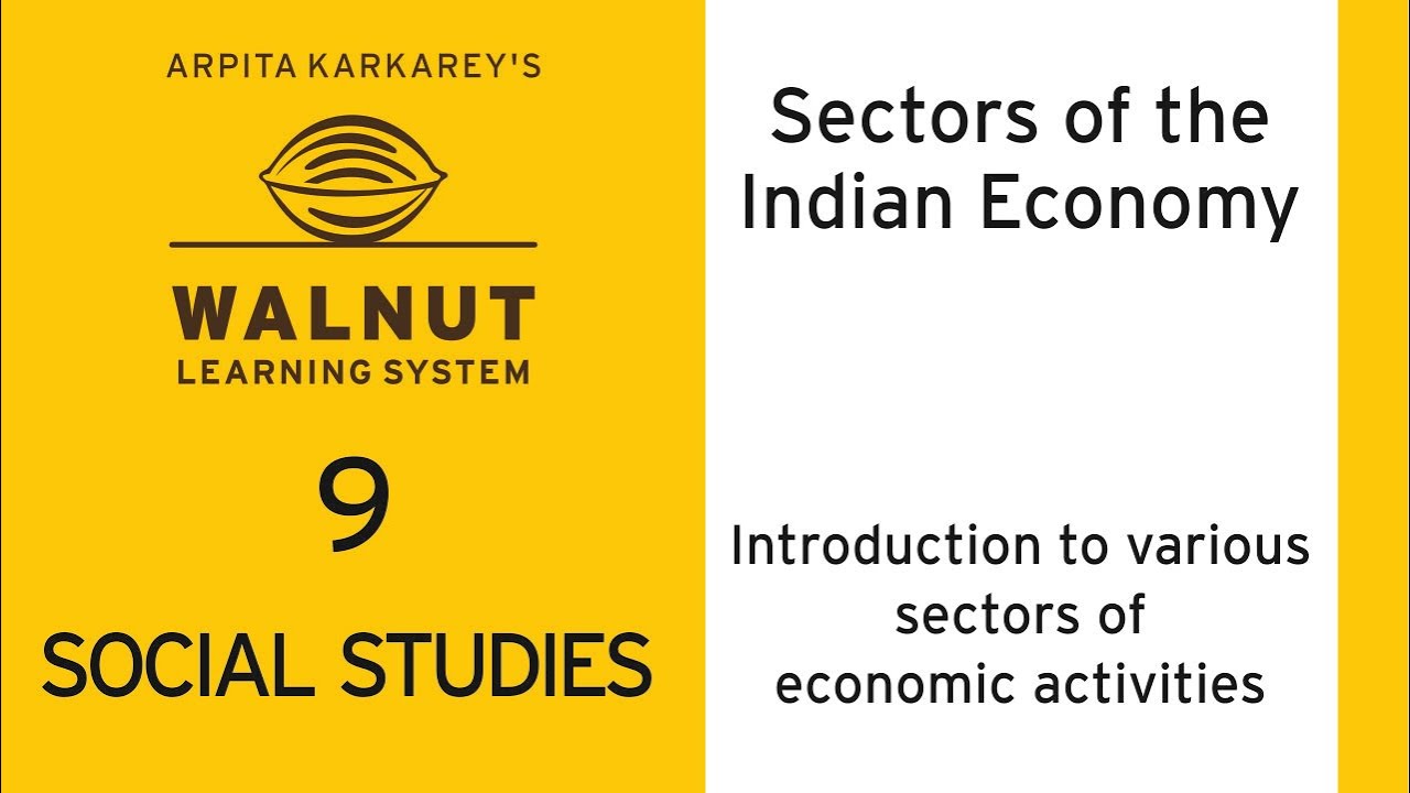 9 Social - Sectors of the Indian Economy - Introduction to various sectors of economic activities