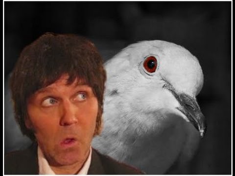 Paul McCartney Saves a Dove