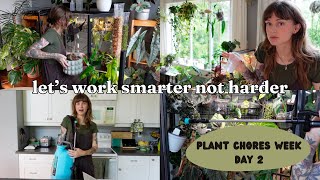 watering hacks, trying new products, & treating spider mites💧🪴