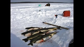 Рыбалка на щуку в улан удэ
