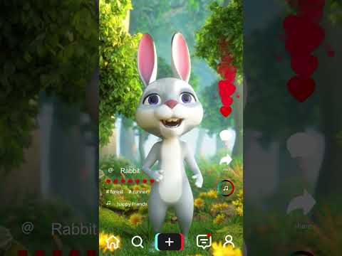Animals Happy Run 3D