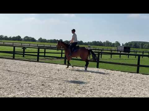 Heart of Geena just saddle broken