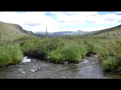 Смотреть видео Смотреть видео