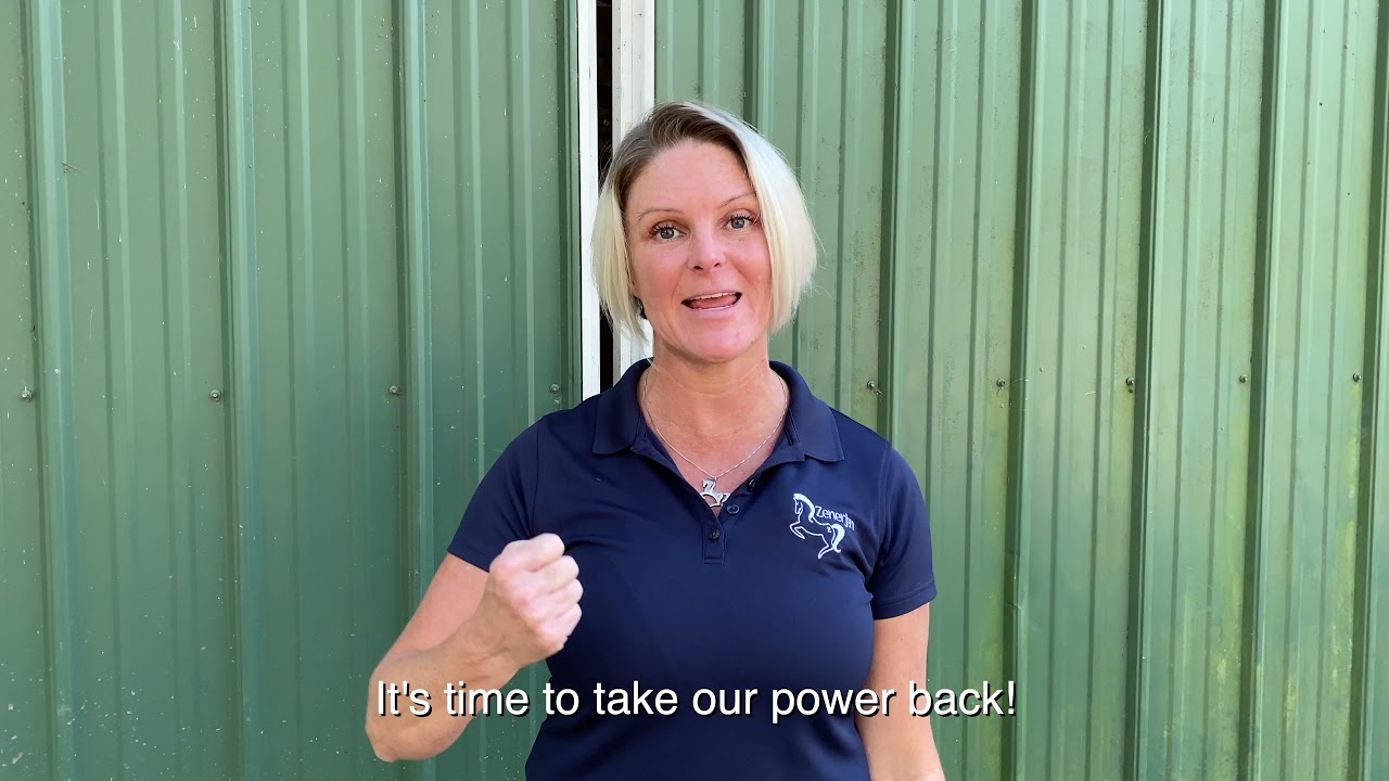 Meet Your Instructors