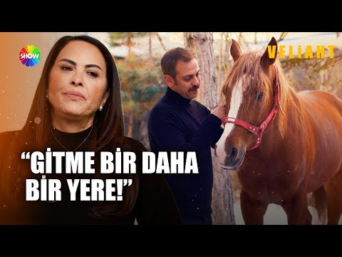 Yahya'nın Sarı fırtınası geri geldi! | Veliaht 20. Bölüm