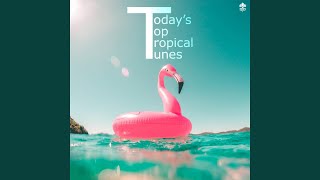 The Sweet Life (feat. T. M. Schultz) (Tropical Version)