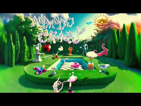 Rayan & Intifaya - Andando crazy